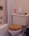 Sherman Hills Bathroom